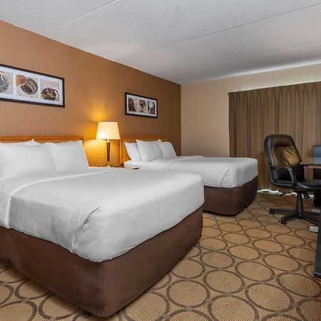 Comfort Inn Campbellton Exteriér fotografie