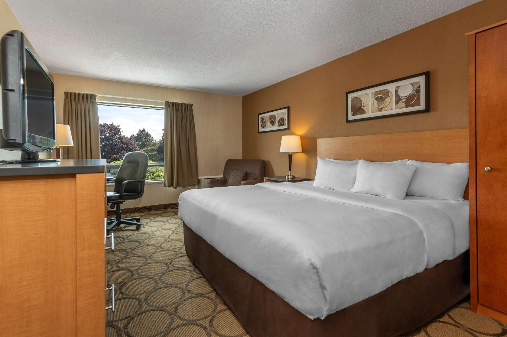 Comfort Inn Campbellton Exteriér fotografie