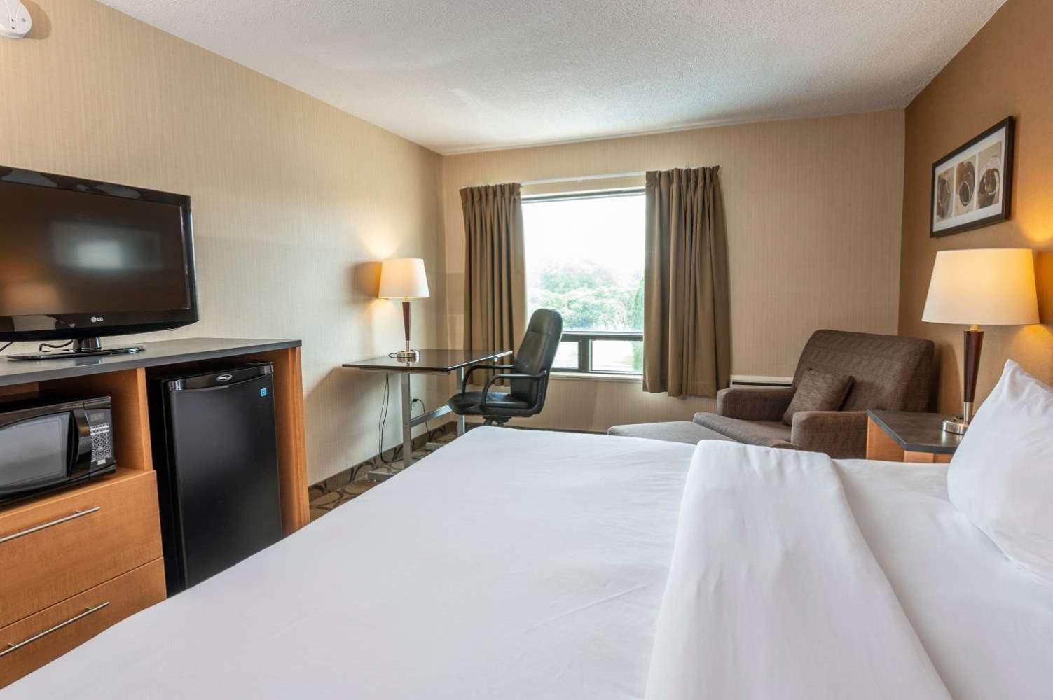 Comfort Inn Campbellton Exteriér fotografie